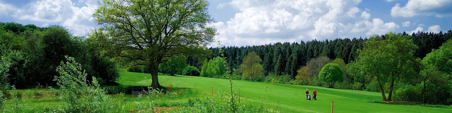 Hotel und Restaurant Wilder Mann in Aalen - Golfen in naher Umgebung