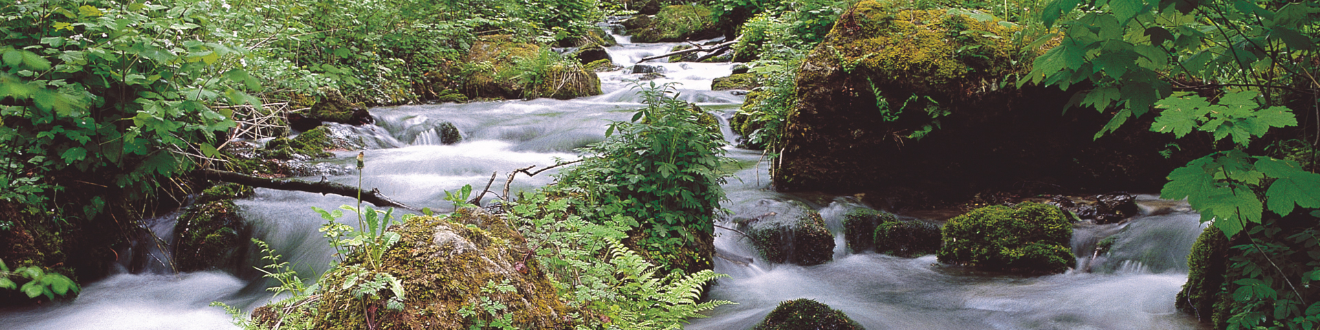 Hotel und Restaurant Wilder Mann in Aalen - Natur erleben in und um Aalen